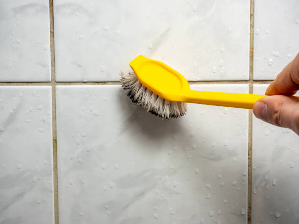 Best Mold Removal Company Near Me  in Westlake Vlage, IL