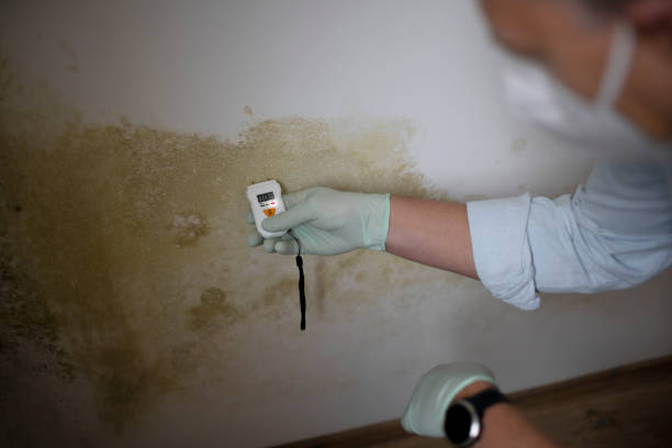 Best Mold Testing  in Westlake Vlage, IL
